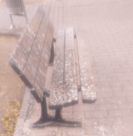 Uno de los bancos de la plaza de Cánovas del Castillo, completamente cubierto de excrementos / TA